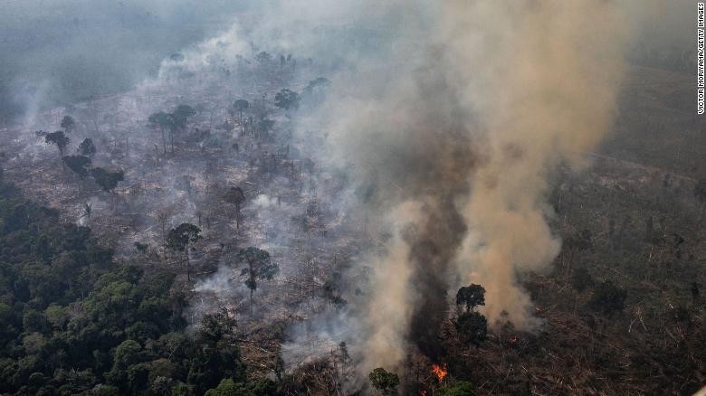 Tỷ lệ phá rừng của Amazon đạt mức cao kỷ lục