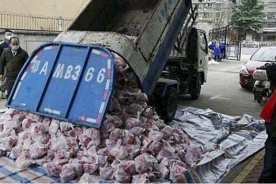 Vũ Hán sa thải quan chức vì dùng xe chở rác chở thịt lợn cho dân