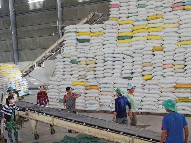 Việt Nam trúng thầu cung cấp 30 nghìn tấn gạo cho Philippines