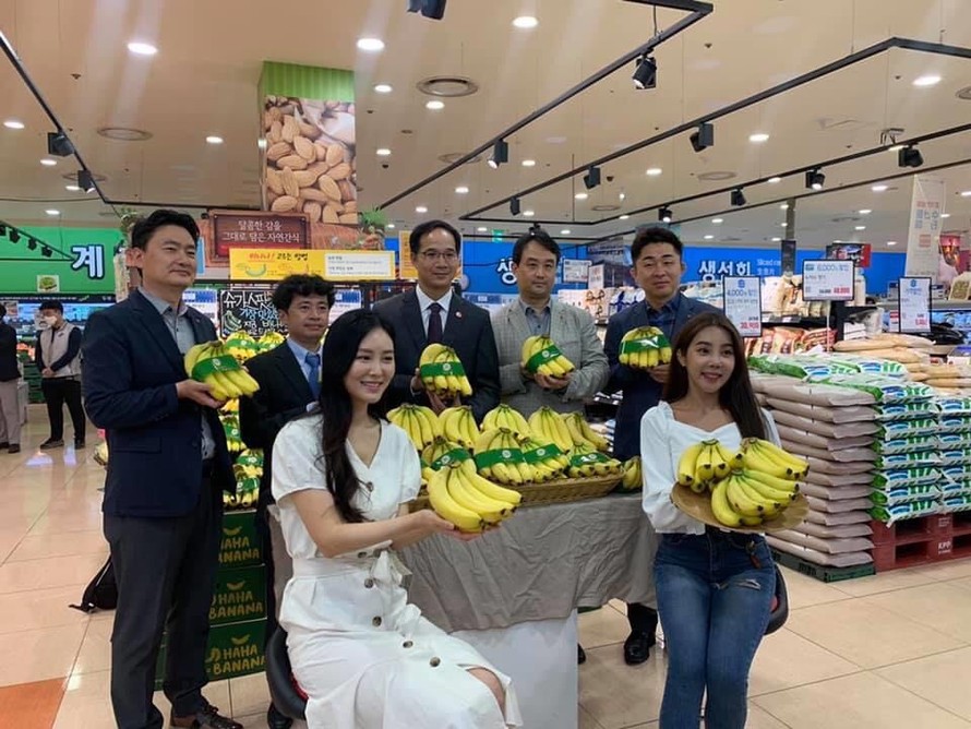 Chuối Việt Nam bày bán trong hệ thống siêu thị Lotte Mart