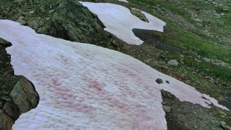 Băng tuyết trên dãy Alps hóa màu hồng