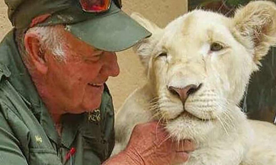 Nhà bảo tồn động vật bị chính sư tử mình nuôi sát hại