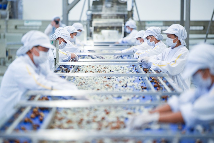 Với công suất 300 tấn rau quả/ngày, Nhà máy chế biến hoa quả tươi và thảo dược Vân Hồ nằm trong tốp các nhà máy chế biến có công suất lớn nhất ở Việt Nam và là nơi đầu tiên sản xuất được nước ép cam và nhãn ở dạng cô đặc bằng công nghệ trích ly chuyên dụn