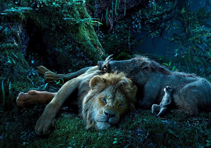 Disney khởi động dự án 'The Lion King' phần hai