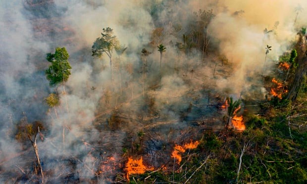 Rừng Amazon hứng chịu đám cháy tồi tệ nhất trong một thập kỷ