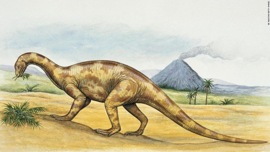 Loài khủng long Thecodontosaurus.