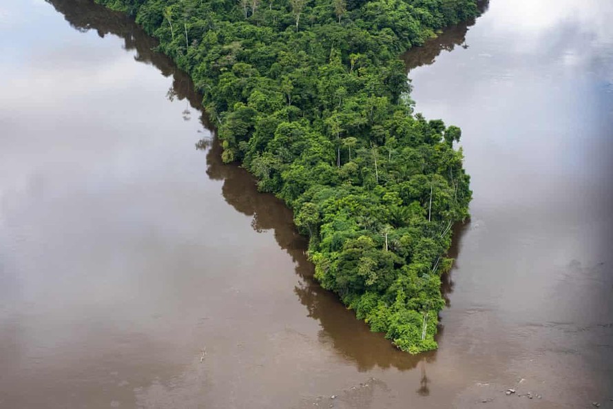 Một hòn đảo bán đảo ở giữa Rio Jari trong rừng nhiệt đới Brazil. Ảnh: Greenpeace