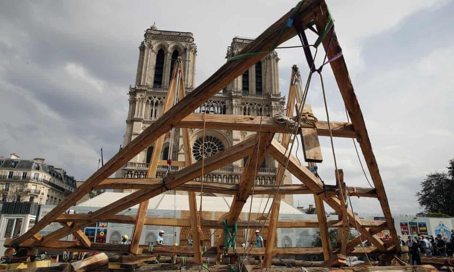 Pháp săn lùng gỗ sồi cổ thụ để tái thiết Nhà thờ Đức Bà