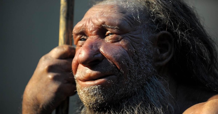 Người Neanderthal có thể nghe và tạo ra âm thanh 
