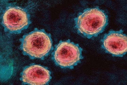 SARS-CoV-2 đang tiến hóa để đối phó với vaccine