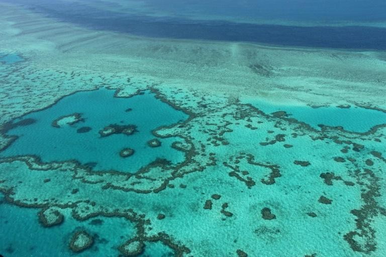 Australia và UNESCO tranh cãi về rạn san hô Great Barrier Reef