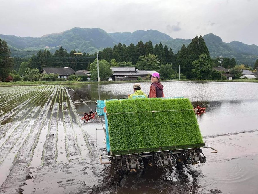 Bỏ công việc ở thành phố, Hashimoto Kana hiện đang sinh sống tại một vùng nông thôn ở Nhật Bản. Ảnh: Washington Post
