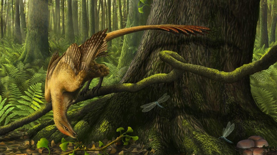 Phát hiện về các loài chim sống cùng thời khủng long