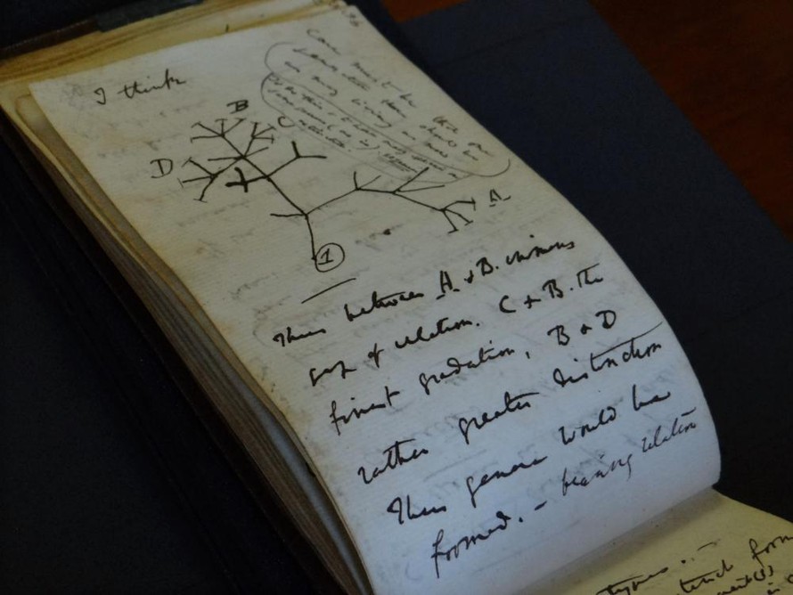 Tìm thấy sổ tay của Charles Darwin sau 20 năm thất lạc