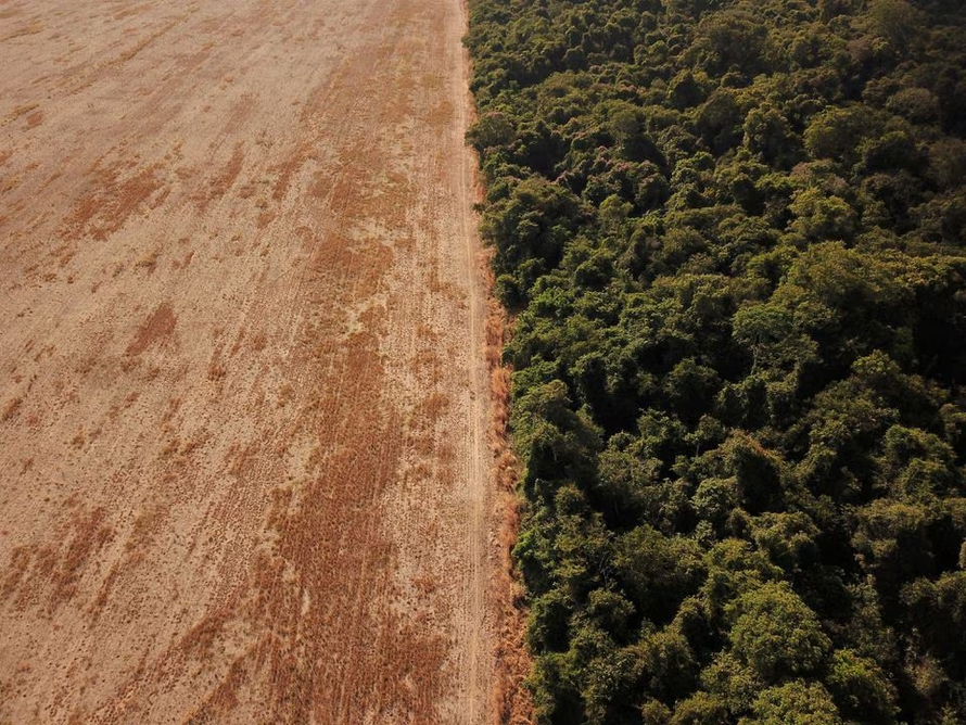 Con số về nạn phá rừng ở Amazon vẫn tiếp tục gia tăng