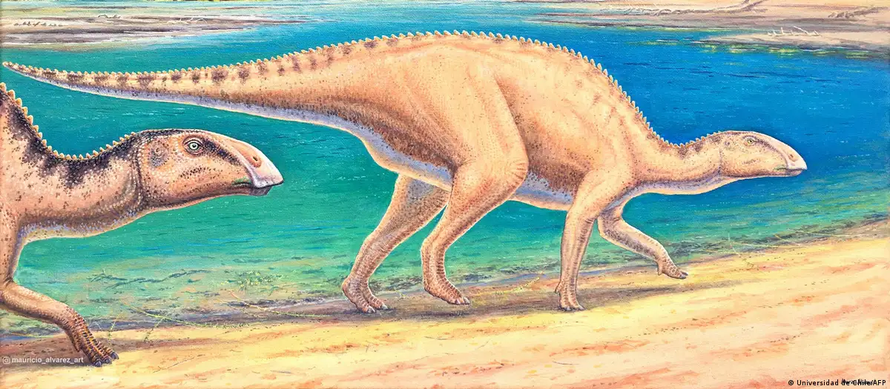 Phát hiện về loài khủng long mỏ vịt mới tại Chile