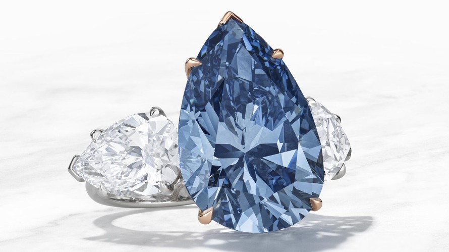 Đấu giá viên cương quý hiếm 'Bleu Royal'