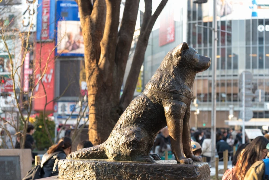 Nhật Bản kỷ niệm 100 năm ngày sinh chú chó Hachiko