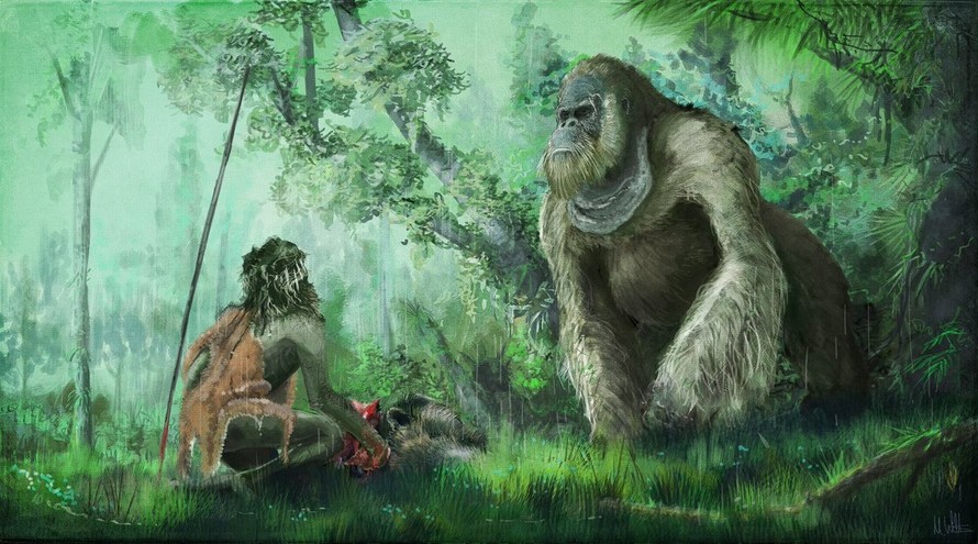 Loài vượn giống King Kong từng sống ở nam Trung Quốc