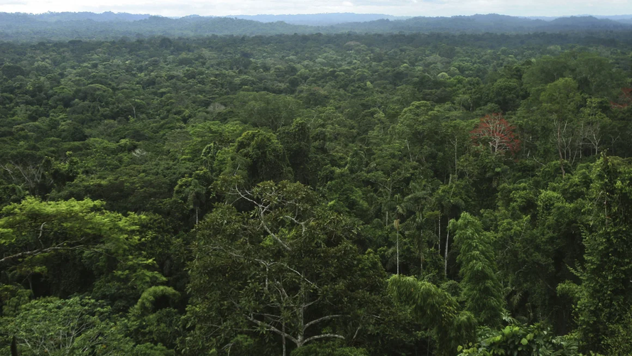 Mạng lưới thành phố cổ ẩn mình trong rừng Amazon