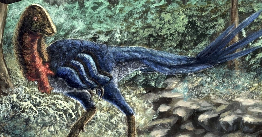Phát hiện loài khủng long mới từ hóa thạch mua trên mạng