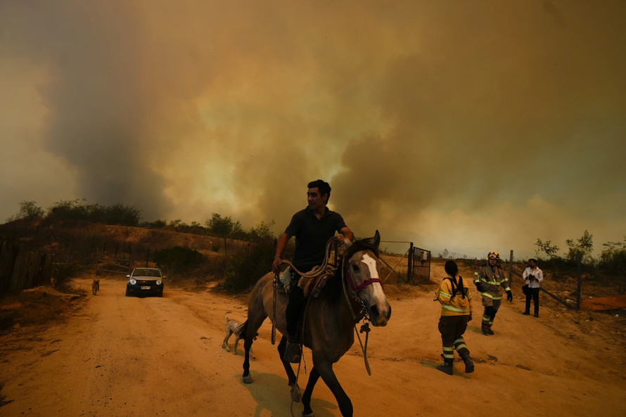 Cháy rừng khiến 46 người thiệt mạng tại Chile 