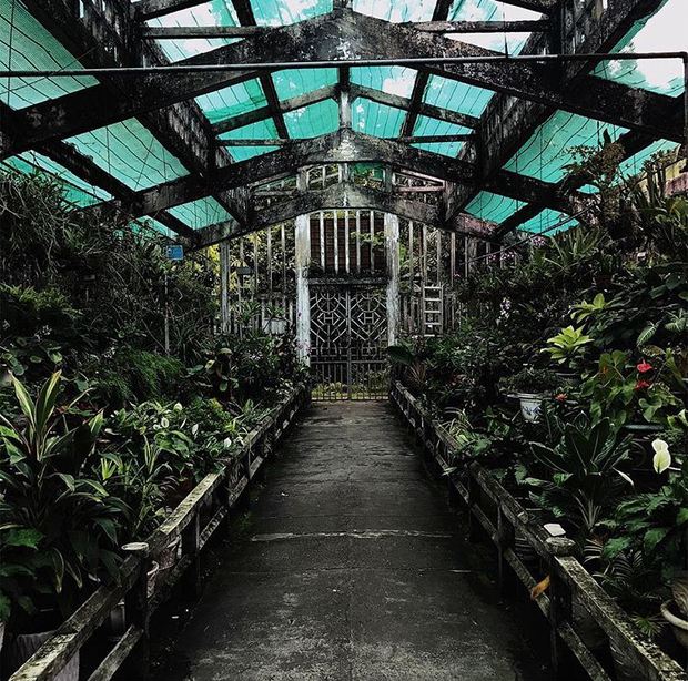 Nơi chuyên trồng và trưng bày các loại lan quý hiếm ở Thảo Cầm Viên