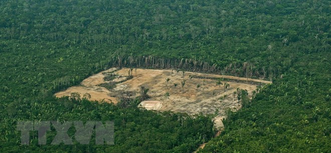 Ảnh tư liệu: Khoảng rừng Amazon bị chặt phá, ngày 22/9/2017. (Nguồn: AFP/TTXVN)