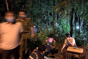 Người phụ nữ nằm chết ở bìa rừng Phú Quốc nghi bị sát hại