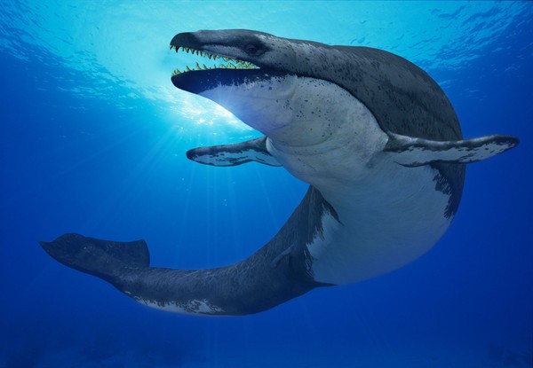 Hình ảnh của loài thủy quái đáy biển Basilosaurus isis.