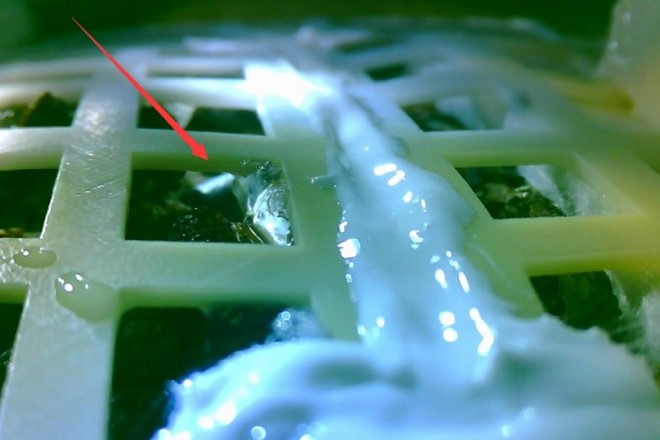 Bức ảnh cho thấy hạt giống cây bông được tàu vũ trụ Trung Quốc Hằng Nga 4 mang lên Mặt Trăng hiện đã nảy mầm. Ảnh: Đại học Trùng Khánh.