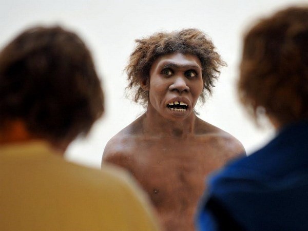 Người Neanderthal. (Nguồn: Getty)