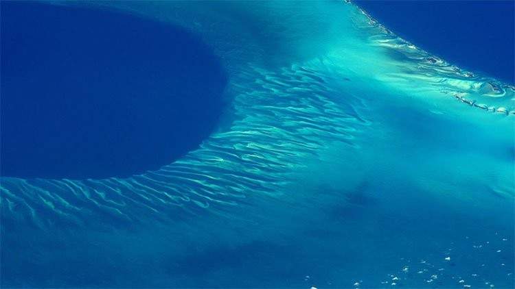 Các nhà khoa học phát hiện âm thanh như tiếng huýt sáo dưới đáy biển Caribean.