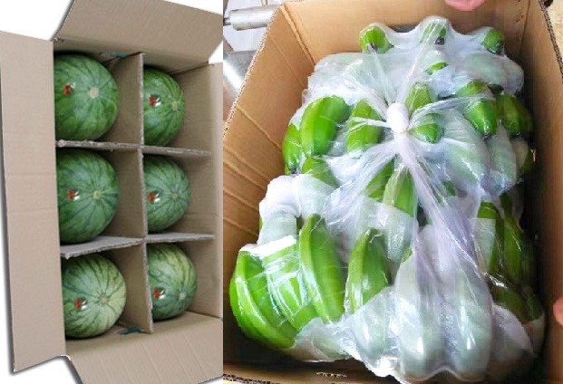  Một số loại trái cây xuất khẩu vào Trung Quốc phải tuân thủ quy định nghiêm ngặt. Ảnh: N. N