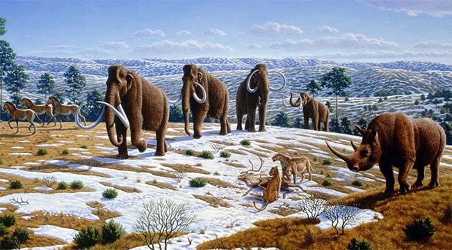 Các nhà khoa học lần đầu tiên đề cập đến sự bùng nổ tiến hoá của động vật trên Trái Đất liên quan đến sự thay đổi nồng độ oxy trong khí quyển.