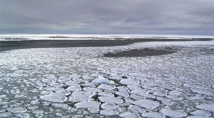 Diện tích băng tại Nam Cực đã xuống mức thấp nhất chỉ trong vòng 4 năm mà chưa rõ lý do - (Ảnh: AP).