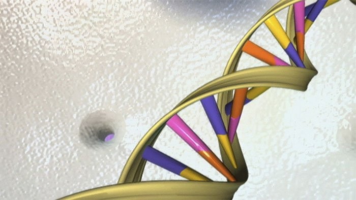 iệc tái kích hoạt ADN bị nhiễm virus có thể tạo ra “sản phẩm” trong hệ thống miễn dịch.