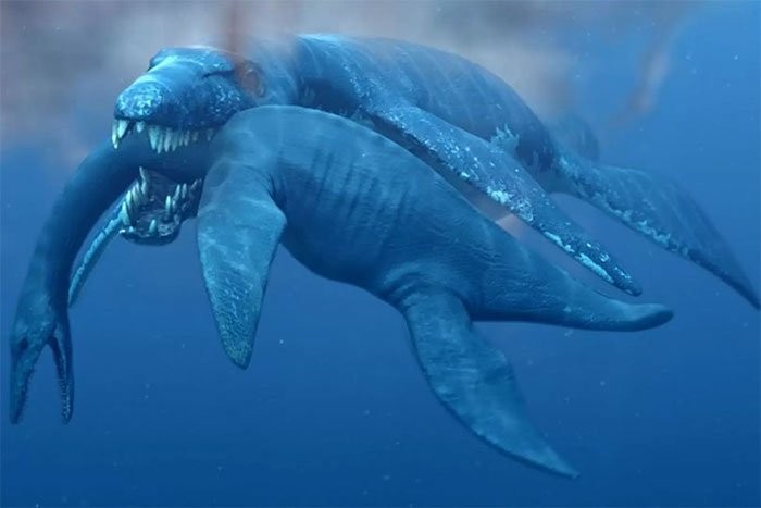 Quái vật biển Pliosaur săn thằn lằn đầu rắn. (Đồ họa: Fox News).