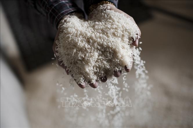  Gạo được bán tại Bangkok, Thái Lan. Ảnh: AFP/TTXVN