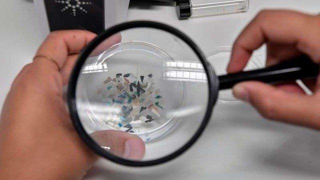 Vi nhựa đang có mặt ở những nơi sâu nhất của đại dương trên toàn thế giới.