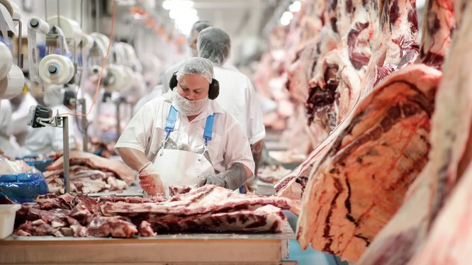 Trung Quốc ngừng nhập khẩu thịt bò từ 4 nhà sản xuất lớn của Australia, do bất đồng về COVID-19 (Ảnh: SMH)