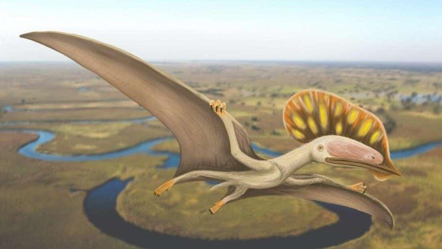 Hình ảnh mô tả loài khủng long mới.