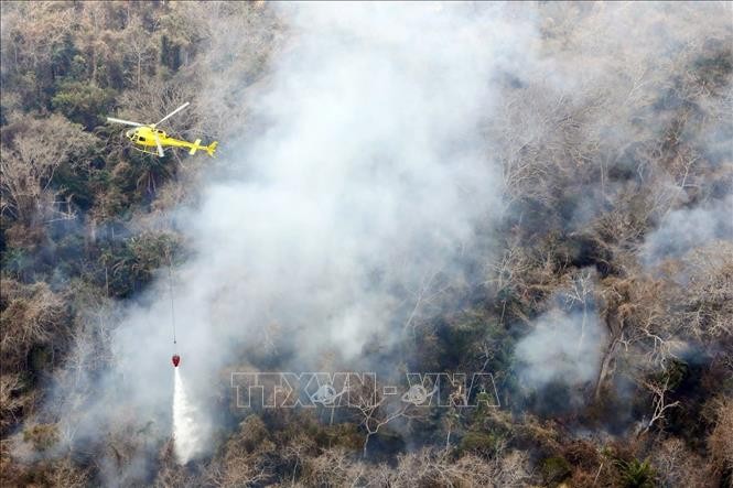 Trực thăng phun nước dập lửa cháy rừng Amazon ngày 19/9/2019. Ảnh tư liệu: AFP/TTXVN