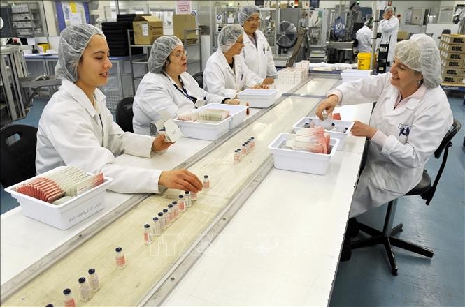 Công nhân làm việc trong dây chuyền sản xuất vaccine tại cơ sở của Tập đoàn y tế Australia CSL ở Melbourne. Ảnh (tư liệu): AFP/TTXVN