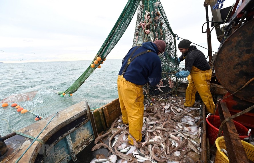 Ngư dân đánh cá trên vùng biển ngoài khơi phía Đông Nam nước Anh ngày 12/10/2020. (Ảnh: AFP/TTXVN)