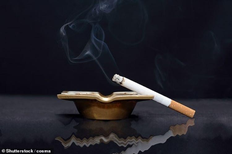 Hút 1 điếu thuốc mỗi ngày cũng có thể gây nghiện nicotine. Ảnh: Shutterstock