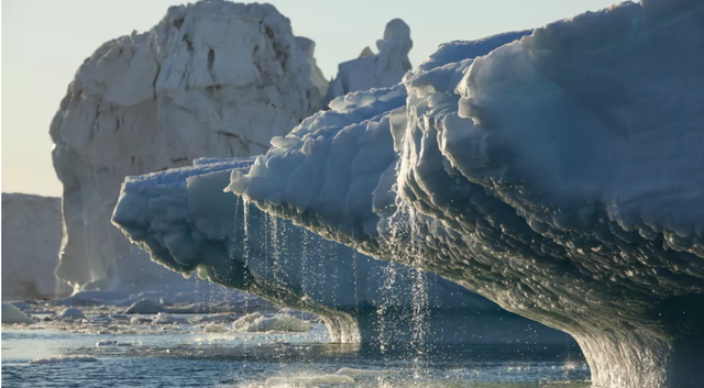 'Vùng băng cuối cùng' của Bắc Cực đối mặt với nguy cơ biến mất