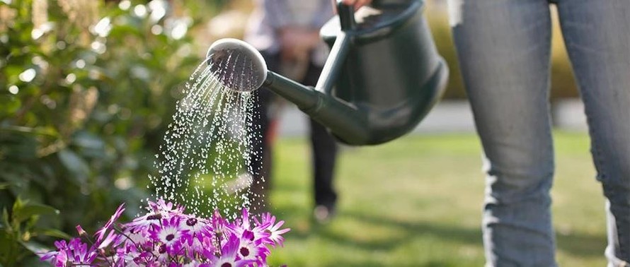 Làm vườn giúp cải thiện sức khỏe và giảm căng thẳng