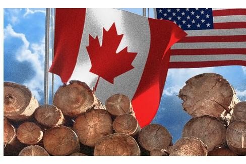 Mỹ và Canada mâu thuẫn về mức thuế đối với mặt hàng gỗ mềm