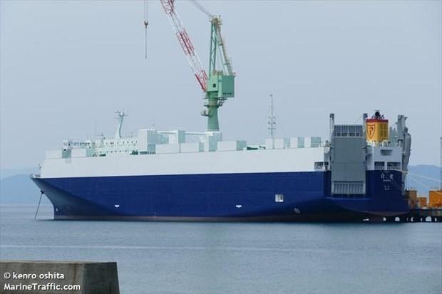 Tàu hàng Byakko của Nhật Bản. (Nguồn: marinetraffic.com)